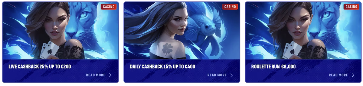 À qui s’adresse BankonBet France ?